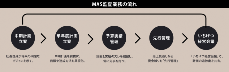 MAS監査業務の流れ